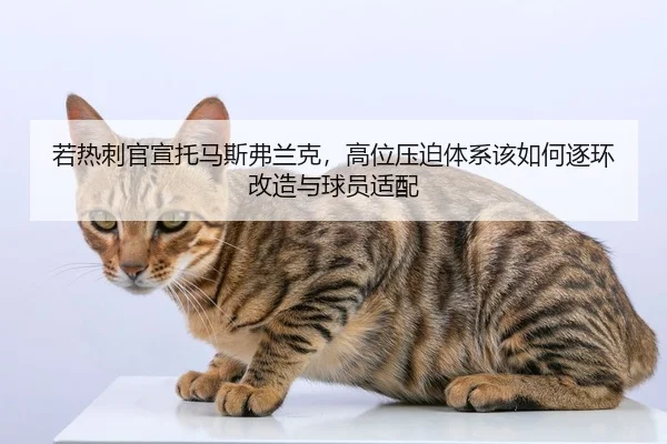 若热刺官宣托马斯弗兰克，高位压迫体系该如何逐环改造与球员适配