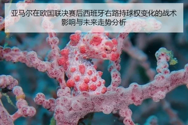 ya-ma-er-zai-ou-guo-lian-jue-sai-hou-xi-ban-ya-you-lu-chi-qiu-quan-bian-hua-de-zhan-shu-ying-xiang-yu-wei-lai-zou-shi-2-489.jpg